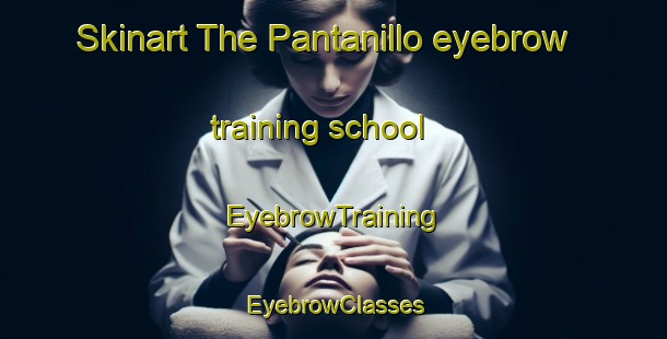 Skinart The Pantanillo eyebrow training school | EyebrowTraining | EyebrowClasses | SkinartTraining-Argentina
