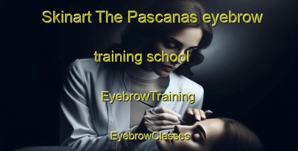 Skinart The Pascanas eyebrow training school | EyebrowTraining | EyebrowClasses | SkinartTraining-Argentina