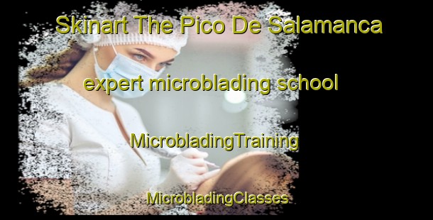 Skinart The Pico De Salamanca expert microblading school | #MicrobladingTraining #MicrobladingClasses #SkinartTraining-Argentina