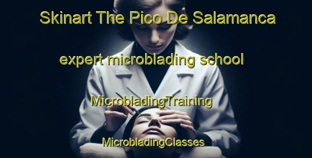 Skinart The Pico De Salamanca expert microblading school | MicrobladingTraining | MicrobladingClasses | SkinartTraining-Argentina