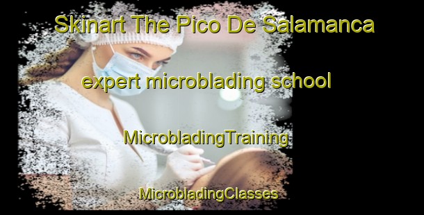 Skinart The Pico De Salamanca expert microblading school | MicrobladingTraining | MicrobladingClasses | SkinartTraining-Argentina