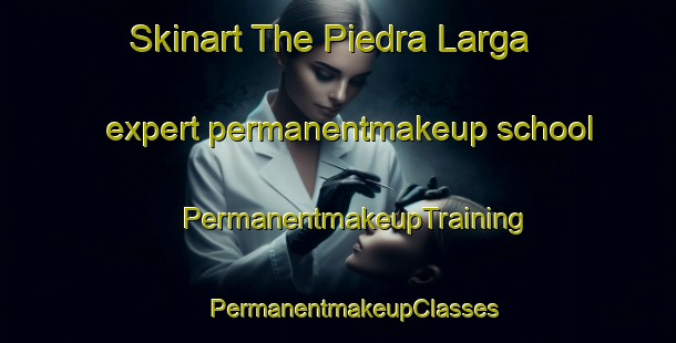 Skinart The Piedra Larga expert permanentmakeup school | #PermanentmakeupTraining #PermanentmakeupClasses #SkinartTraining-Argentina