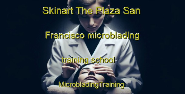 Skinart The Plaza San Francisco microblading training school | #MicrobladingTraining #MicrobladingClasses #SkinartTraining-Argentina