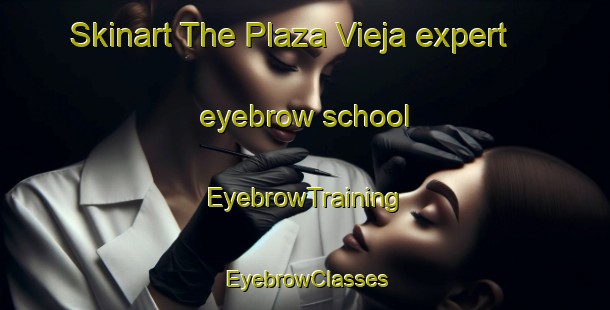 Skinart The Plaza Vieja expert eyebrow school | EyebrowTraining | EyebrowClasses | SkinartTraining-Argentina