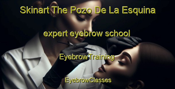 Skinart The Pozo De La Esquina expert eyebrow school | EyebrowTraining | EyebrowClasses | SkinartTraining-Argentina