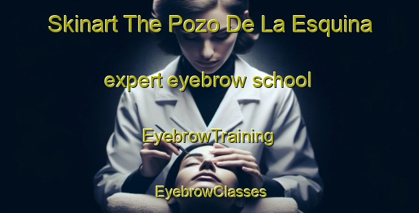 Skinart The Pozo De La Esquina expert eyebrow school | EyebrowTraining | EyebrowClasses | SkinartTraining-Argentina