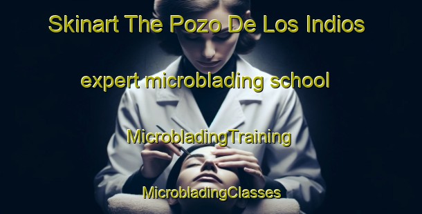 Skinart The Pozo De Los Indios expert microblading school | #MicrobladingTraining #MicrobladingClasses #SkinartTraining-Argentina