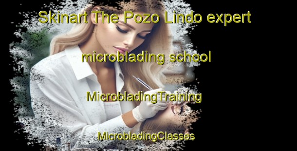 Skinart The Pozo Lindo expert microblading school | MicrobladingTraining | MicrobladingClasses | SkinartTraining-Argentina