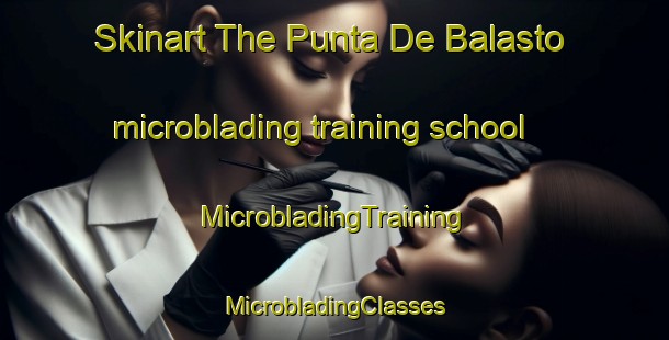 Skinart The Punta De Balasto microblading training school | #MicrobladingTraining #MicrobladingClasses #SkinartTraining-Argentina