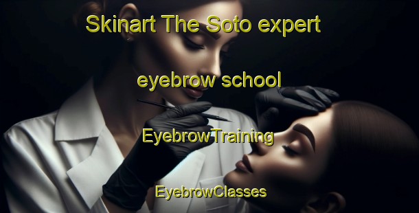 Skinart The Soto expert eyebrow school | EyebrowTraining | EyebrowClasses | SkinartTraining-Argentina