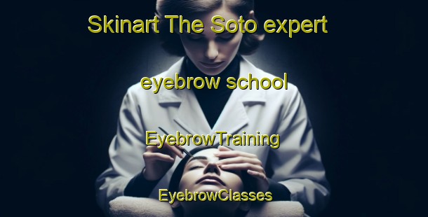 Skinart The Soto expert eyebrow school | EyebrowTraining | EyebrowClasses | SkinartTraining-Argentina