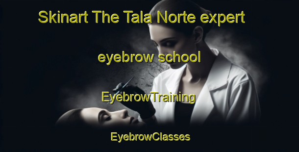 Skinart The Tala Norte expert eyebrow school | EyebrowTraining | EyebrowClasses | SkinartTraining-Argentina