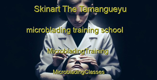 Skinart The Tamangueyu microblading training school | #MicrobladingTraining #MicrobladingClasses #SkinartTraining-Argentina