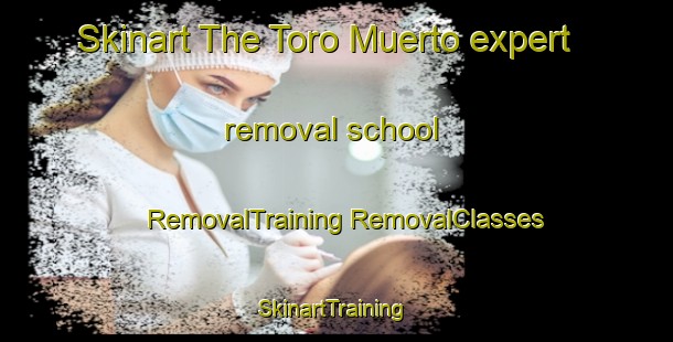 Skinart The Toro Muerto expert removal school | #RemovalTraining #RemovalClasses #SkinartTraining-Argentina