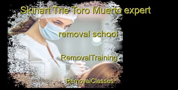 Skinart The Toro Muerto expert removal school | RemovalTraining | RemovalClasses | SkinartTraining-Argentina