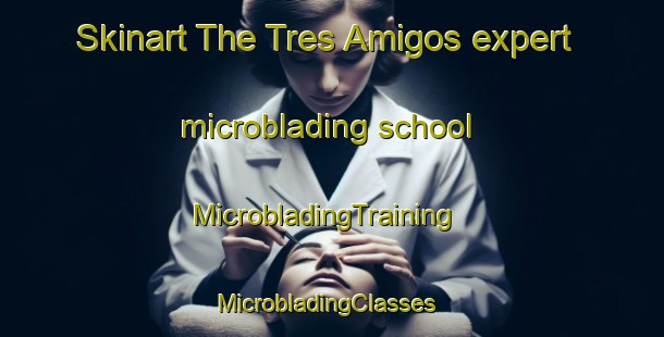 Skinart The Tres Amigos expert microblading school | MicrobladingTraining | MicrobladingClasses | SkinartTraining-Argentina