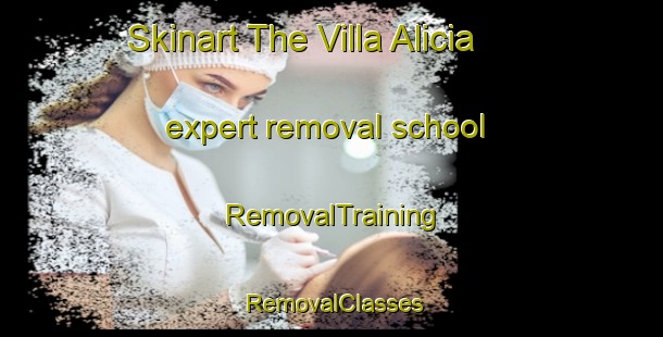 Skinart The Villa Alicia expert removal school | RemovalTraining | RemovalClasses | SkinartTraining-Argentina