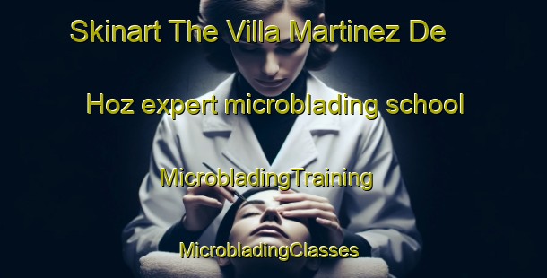 Skinart The Villa Martinez De Hoz expert microblading school | MicrobladingTraining | MicrobladingClasses | SkinartTraining-Argentina