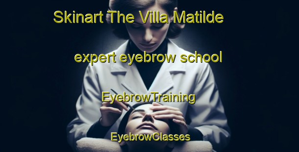 Skinart The Villa Matilde expert eyebrow school | EyebrowTraining | EyebrowClasses | SkinartTraining-Argentina