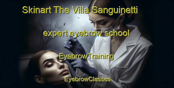 Skinart The Villa Sanguinetti expert eyebrow school | EyebrowTraining | EyebrowClasses | SkinartTraining-Argentina