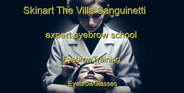 Skinart The Villa Sanguinetti expert eyebrow school | EyebrowTraining | EyebrowClasses | SkinartTraining-Argentina