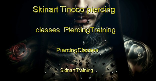 Skinart Tinoco piercing classes | #PiercingTraining #PiercingClasses #SkinartTraining-Argentina