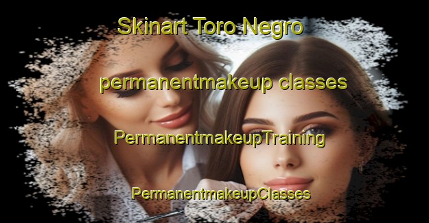 Skinart Toro Negro permanentmakeup classes | PermanentmakeupTraining | PermanentmakeupClasses | SkinartTraining-Argentina
