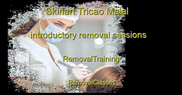 Skinart Tricao Malal introductory removal sessions | RemovalTraining | RemovalClasses | SkinartTraining-Argentina