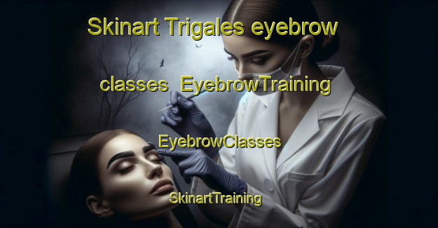 Skinart Trigales eyebrow classes | EyebrowTraining | EyebrowClasses | SkinartTraining-Argentina