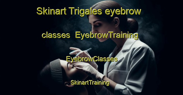 Skinart Trigales eyebrow classes | EyebrowTraining | EyebrowClasses | SkinartTraining-Argentina