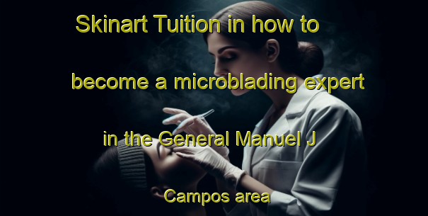 Skinart Tuition in how to become a microblading expert in the General Manuel J  Campos area | MicrobladingTraining | MicrobladingClasses | SkinartTraining-Argentina