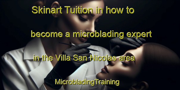 Skinart Tuition in how to become a microblading expert in the Villa San Nicolas area | MicrobladingTraining | MicrobladingClasses | SkinartTraining-Argentina