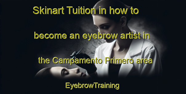 Skinart Tuition in how to become an eyebrow artist in the Campamento Primero area | EyebrowTraining | EyebrowClasses | SkinartTraining-Argentina