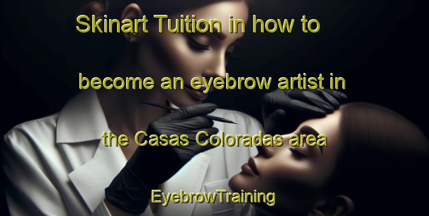 Skinart Tuition in how to become an eyebrow artist in the Casas Coloradas area | EyebrowTraining | EyebrowClasses | SkinartTraining-Argentina