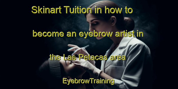 Skinart Tuition in how to become an eyebrow artist in the Las Petacas area | EyebrowTraining | EyebrowClasses | SkinartTraining-Argentina