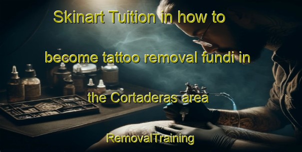 Skinart Tuition in how to become tattoo removal fundi in the Cortaderas area | RemovalTraining | RemovalClasses | SkinartTraining-Argentina