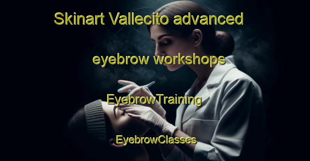 Skinart Vallecito advanced eyebrow workshops | EyebrowTraining | EyebrowClasses | SkinartTraining-Argentina