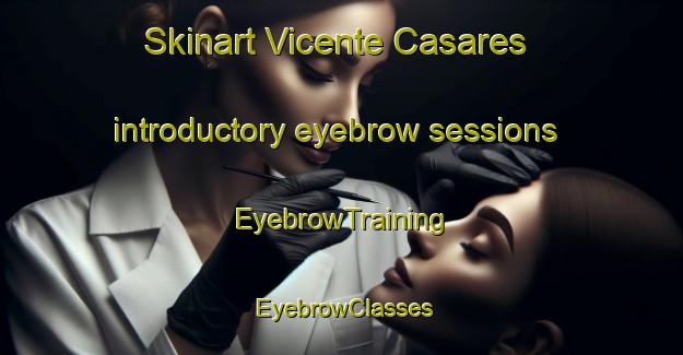 Skinart Vicente Casares introductory eyebrow sessions | EyebrowTraining | EyebrowClasses | SkinartTraining-Argentina