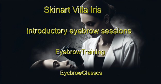 Skinart Villa Iris introductory eyebrow sessions | EyebrowTraining | EyebrowClasses | SkinartTraining-Argentina