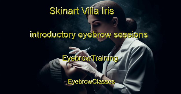 Skinart Villa Iris introductory eyebrow sessions | EyebrowTraining | EyebrowClasses | SkinartTraining-Argentina