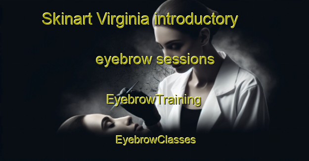 Skinart Virginia introductory eyebrow sessions | EyebrowTraining | EyebrowClasses | SkinartTraining-Argentina