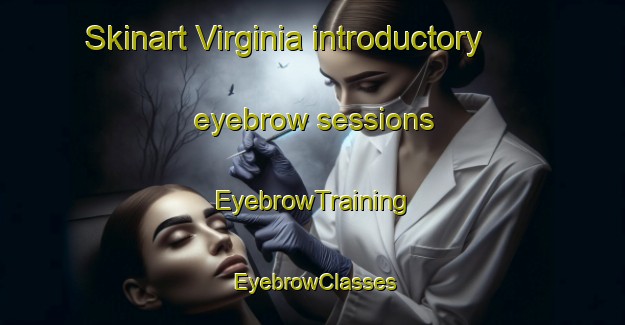 Skinart Virginia introductory eyebrow sessions | EyebrowTraining | EyebrowClasses | SkinartTraining-Argentina