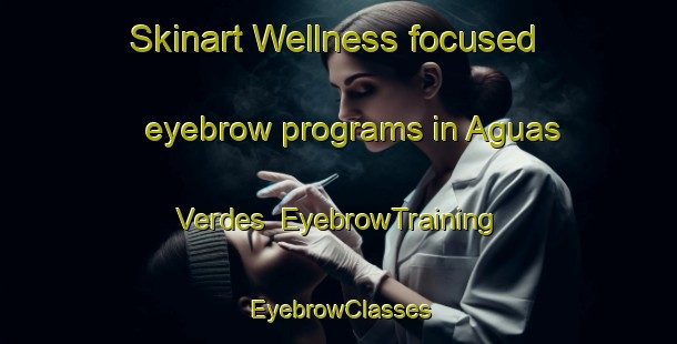 Skinart Wellness-focused eyebrow programs in Aguas Verdes | EyebrowTraining | EyebrowClasses | SkinartTraining-Argentina