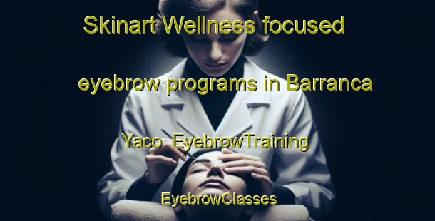 Skinart Wellness-focused eyebrow programs in Barranca Yaco | EyebrowTraining | EyebrowClasses | SkinartTraining-Argentina