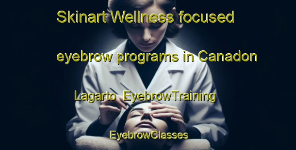 Skinart Wellness-focused eyebrow programs in Canadon Lagarto | EyebrowTraining | EyebrowClasses | SkinartTraining-Argentina
