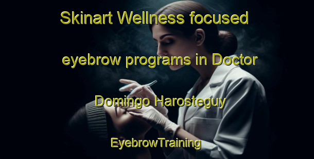Skinart Wellness-focused eyebrow programs in Doctor Domingo Harosteguy | EyebrowTraining | EyebrowClasses | SkinartTraining-Argentina