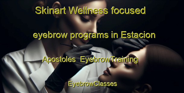 Skinart Wellness-focused eyebrow programs in Estacion Apostoles | EyebrowTraining | EyebrowClasses | SkinartTraining-Argentina