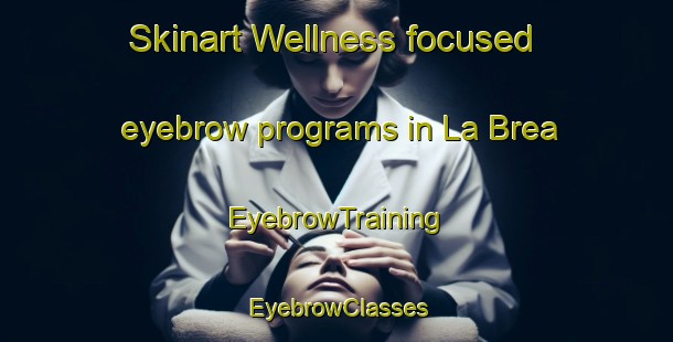 Skinart Wellness-focused eyebrow programs in La Brea | EyebrowTraining | EyebrowClasses | SkinartTraining-Argentina