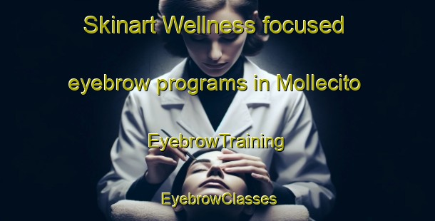Skinart Wellness-focused eyebrow programs in Mollecito | EyebrowTraining | EyebrowClasses | SkinartTraining-Argentina