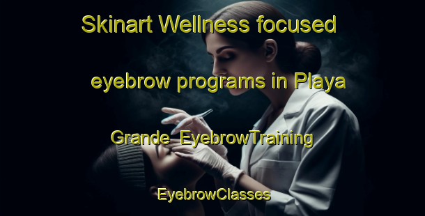 Skinart Wellness-focused eyebrow programs in Playa Grande | EyebrowTraining | EyebrowClasses | SkinartTraining-Argentina